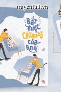 Bắt Được Cái Đuôi Của Anh book cover