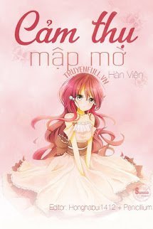 Cảm Thụ Mập Mờ book cover