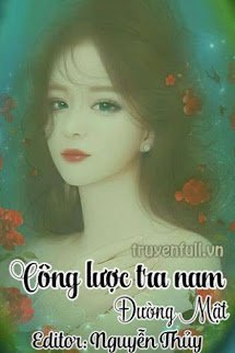 Công Lược Tra Nam book cover