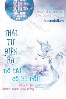 Thái Tử Điện Hạ, Nô Tài Có Hỉ Rồi book cover