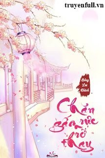 Chăn Gấm Rực Rỡ Thay book cover