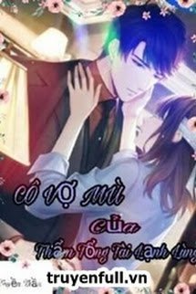 Cô Vợ Mù Của Thẩm Tổng Tài Lạnh Lùng book cover