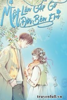 Một Lần Gặp Gỡ, Một Đời Bên Em book cover