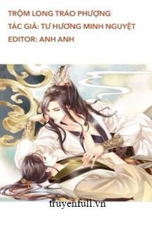 Trộm Long Tráo Phượng book cover
