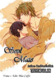 Soul Mate book cover
