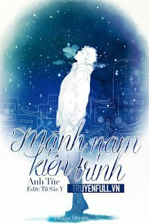 Mãnh Nam Kiên Định book cover