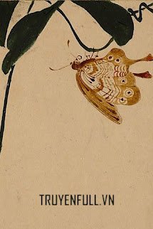Độc Hồ Điệp book cover