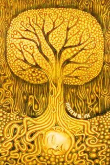 Đồng Thoại Văn Lang book cover
