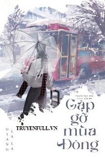 Gặp Gỡ Mùa Đông book cover