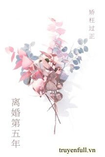 Ly Hôn Năm Thứ Năm book cover