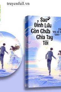 Sao Đỉnh Lưu Chưa Chia Tay Tôi book cover
