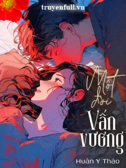 Một Đời Vấn Vương book cover