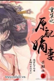 Trọng Sinh Chi Nguyên Phối Vợ Cả book cover