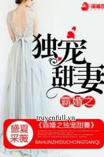Độc Gia Sủng Thê P2 book cover