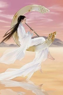 Gia Cát Linh Ẩn book cover