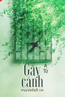 Gãy Cánh book cover