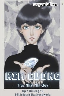 Kim Cương book cover