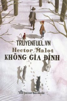 Không Gia Đình (Sans Famille) book cover