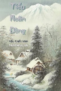 Tiểu Noãn Đông book cover