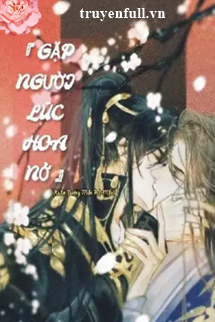 Gặp Người Lúc Hoa Nở book cover