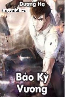 Bảo Kỳ Vương book cover