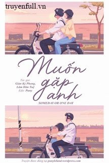 Muốn Gặp Anh/ Someday Or One Day book cover