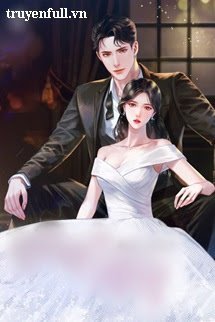 Cuộc Hôn Nhân Lầm Lỗi book cover