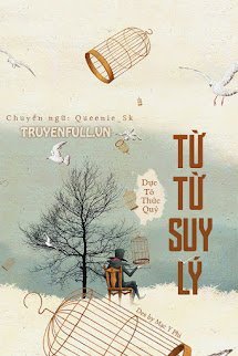 Từ Từ Suy Lý book cover