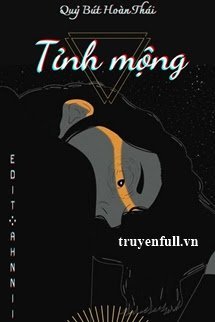 Tỉnh Mộng book cover