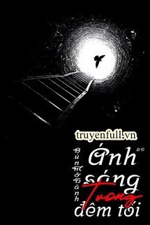 Ánh Sáng Trong Đêm Tối book cover