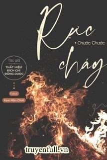 Rực Cháy book cover