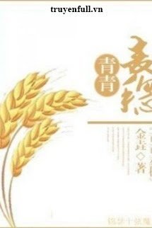 Xuyên Việt Chi Thanh Thanh Mạch Tuệ book cover