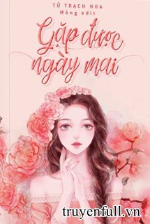Gặp Được Ngày Mai book cover