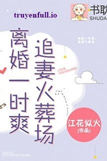 Ly Hôn Nhất Thời Sảng, Truy Thê Hỏa Táng Tràng book cover