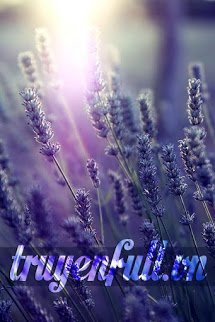 Tôi Hận Anh! Kẻ Đùa Cợt Trái Tim Tôi book cover