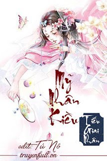 Mỹ Nhân Kiều book cover