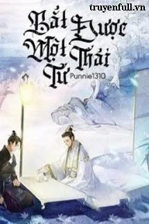 Bắt Được Một Thái Tử book cover