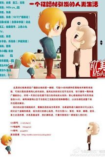 Từ Một Tin ‘Tìm Bạn Trăm Năm’ Trở Thành ‘Vợ’ Người book cover