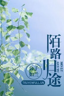 Lạc Lối Quay Về book cover