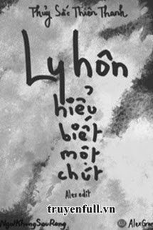 Ly Hôn Hiểu Biết Một Chút book cover