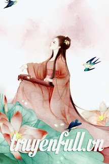Nửa Đời Phù Dung, Nửa Đời Sen book cover