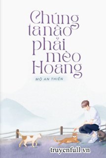 Chúng Ta Nào Phải Mèo Hoang book cover