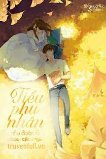 Tiểu Phu Nhân book cover