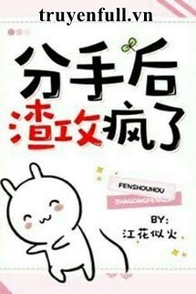 Chia Tay Sau Tra Công Điên Rồi book cover
