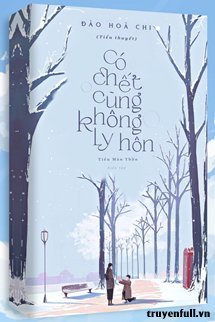 Có Chết Cũng Không Ly Hôn book cover