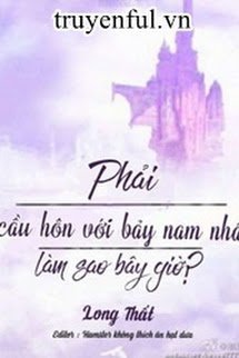 Nhất Định Phải Cầu Hôn Bảy Vị Nam Nhân, Làm Sao Giờ! book cover