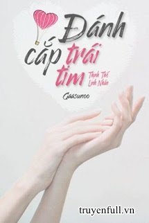 Đánh Cắp Trái Tim book cover