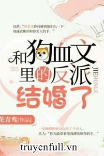 Kết Hôn Cùng Nhân Vật Phản Diện Trong Văn Cẩu Huyết book cover