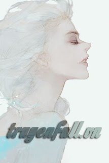 Ký Sự Truy Đuổi Tình Yêu Ba Mươi Nghìn Feet book cover