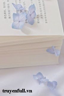 Người Phán Xử book cover
